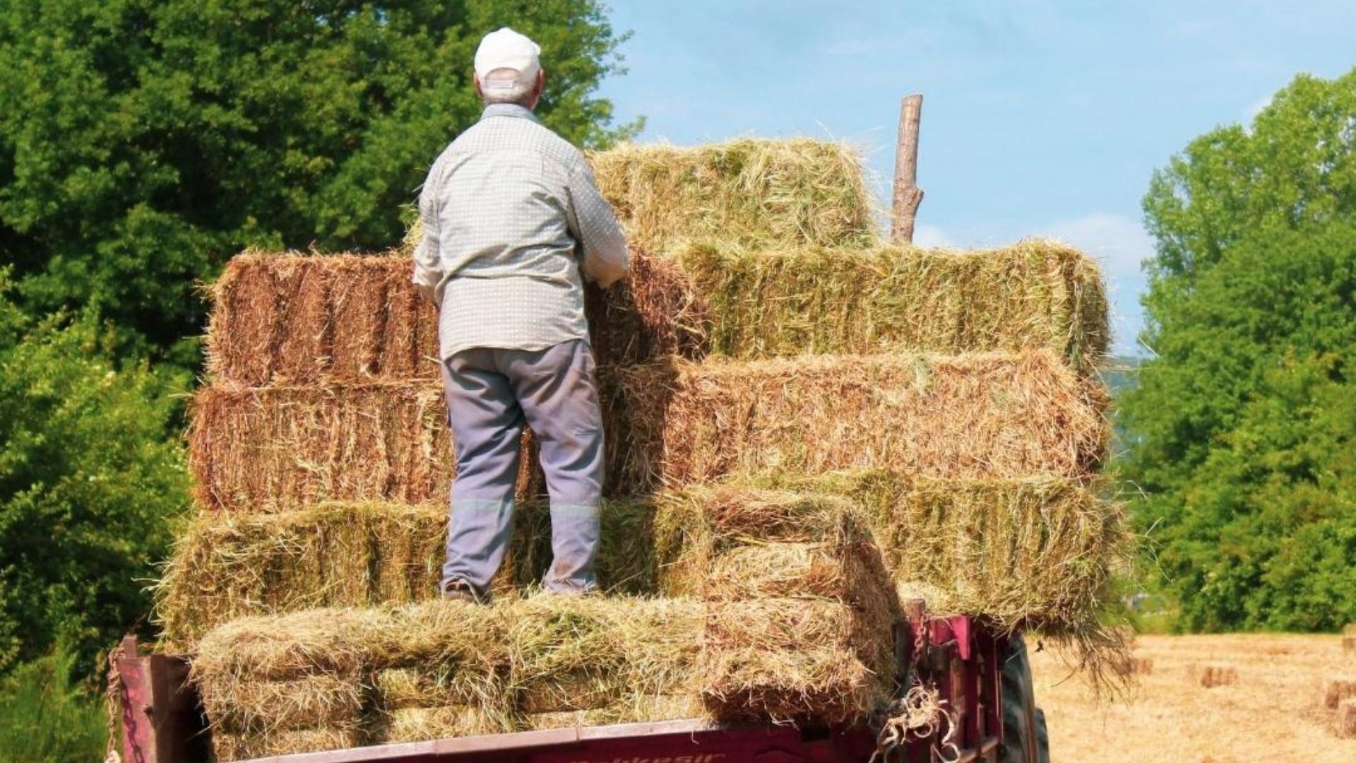 News BRING THE TRUCK TO THE HAY Image