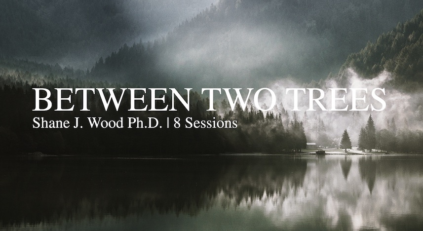Between Two Trees thumbnail copy