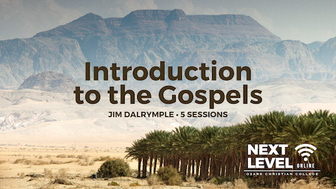 Introduction to the Gospels thumbnail copy
