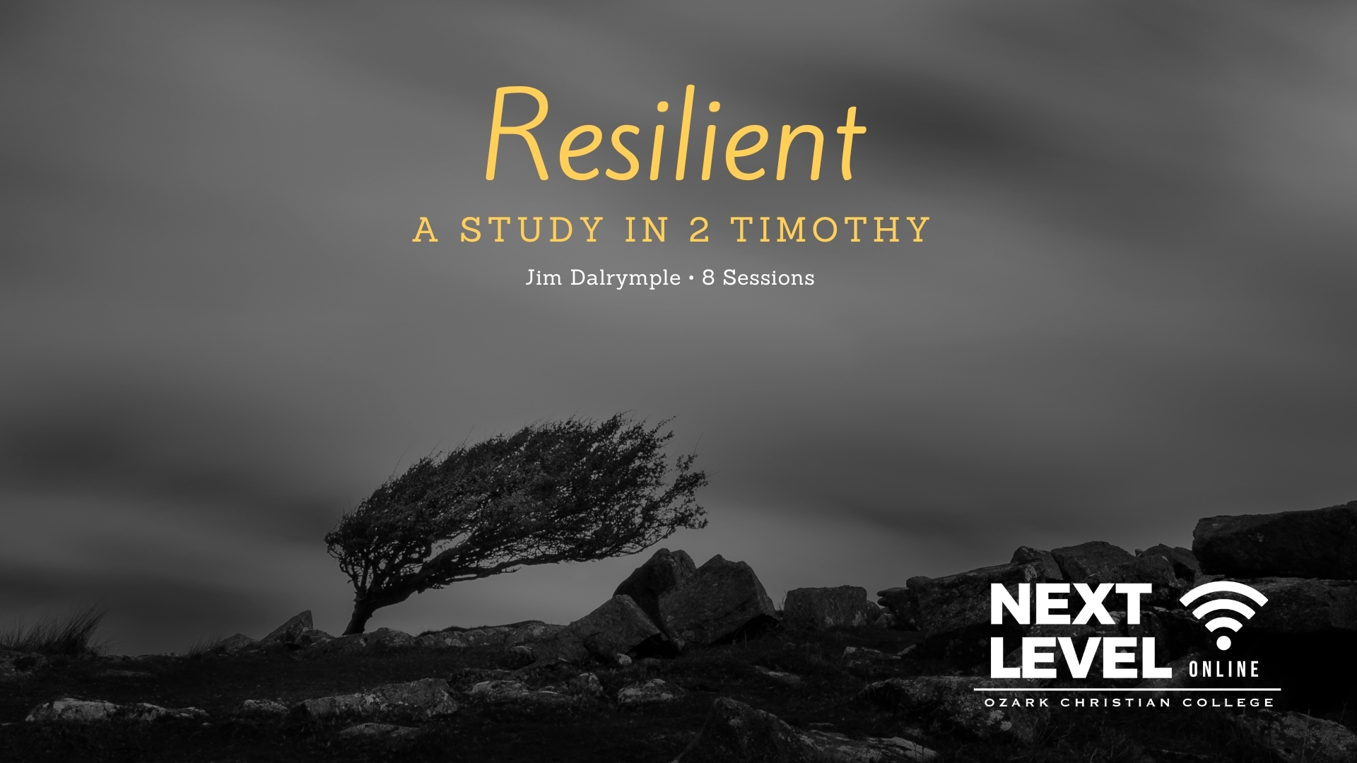 Resilient